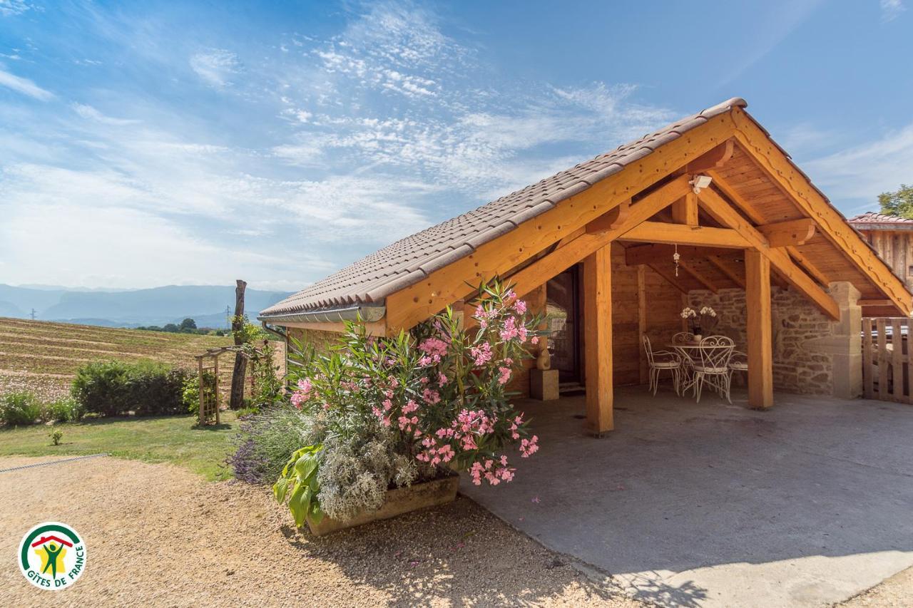 Chalet Le Clos De L'Orme Saint-Lattier Eksteriør bilde